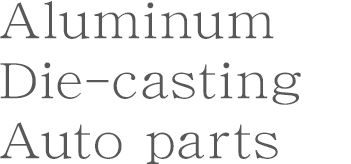 Aluminum Die-casting Auto parts