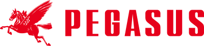 PEGASUS 株式会社PEGASUS