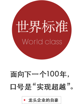 世界标准：面向下一个100年，口号是“实现超越”。龙头企业的自豪